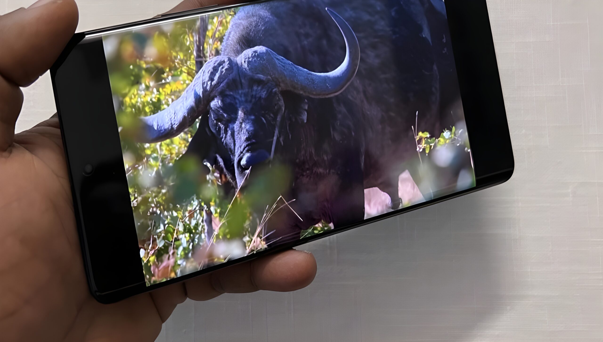 Vivo V70 Ultra की पूरी जानकारी: क्या यह आपके लिए बेस्ट है?